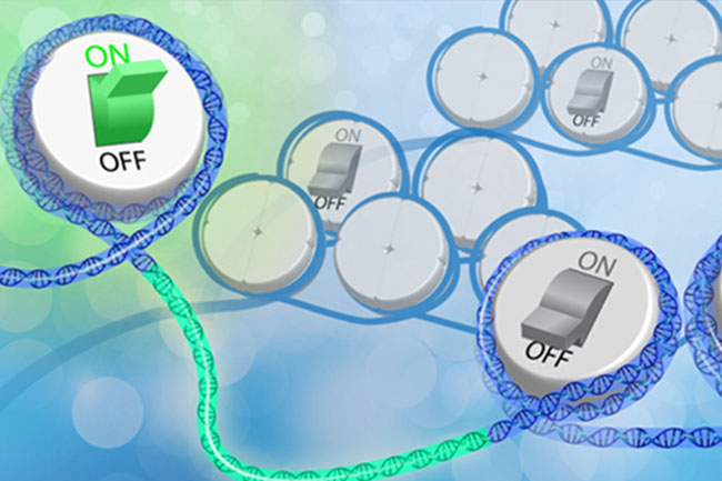 Epigenetic Alterations